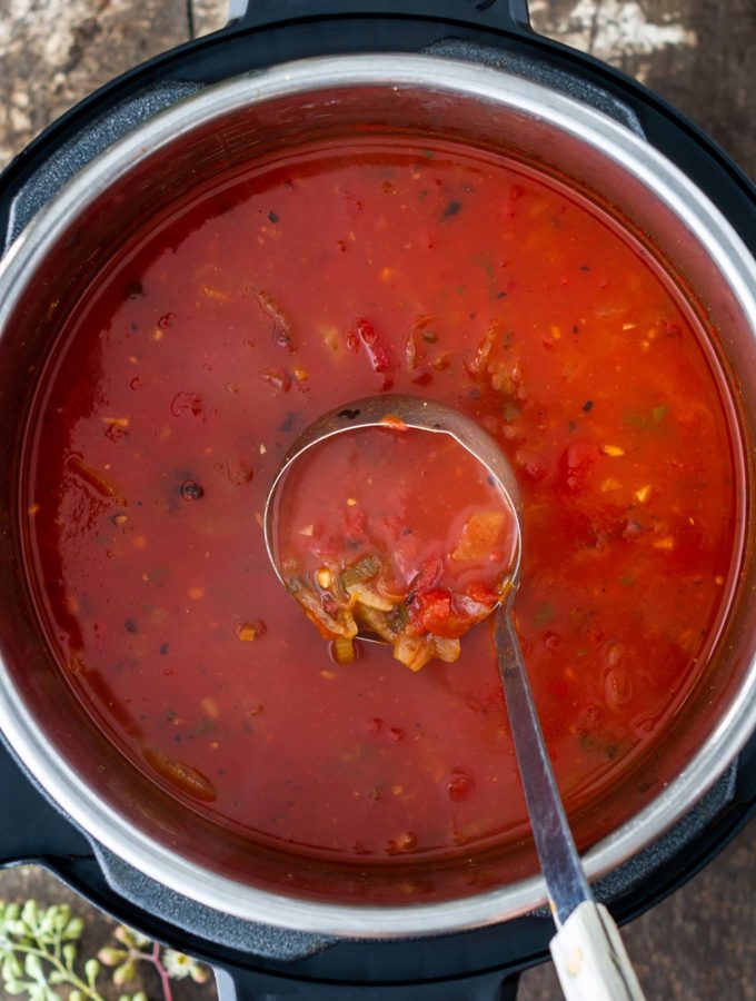 Instant Pot Creamy Tomato Fennel Soup (Vegan)